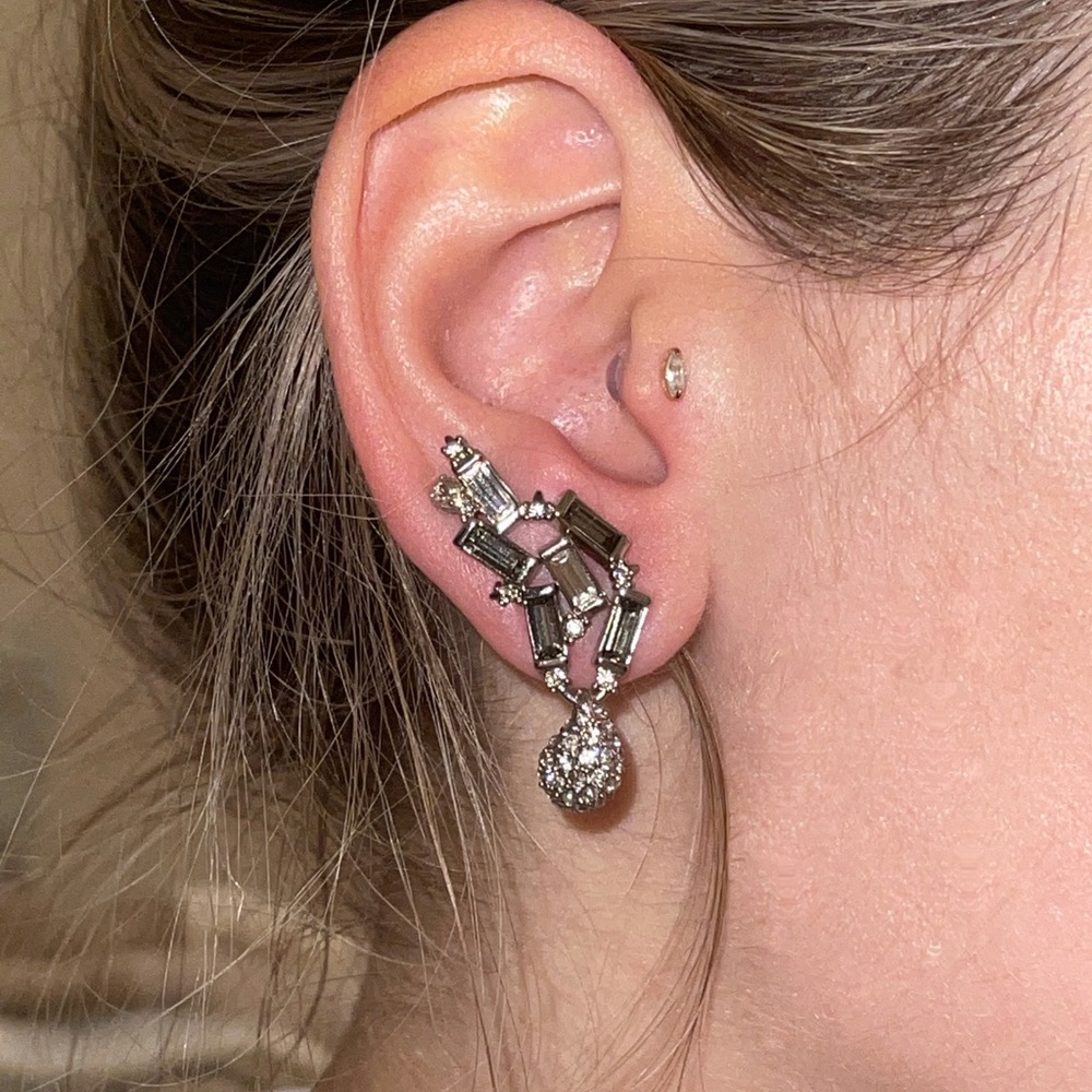 Alexis Bittar Earrings